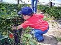 2004-05 Villetain 019